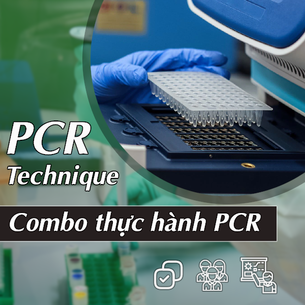 COMBO THỰC HÀNH PCR